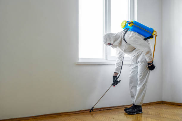 Emergency Pest Control in Kimberly, WI